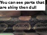 Skin dull
