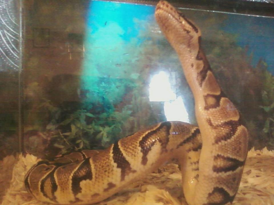 Eating