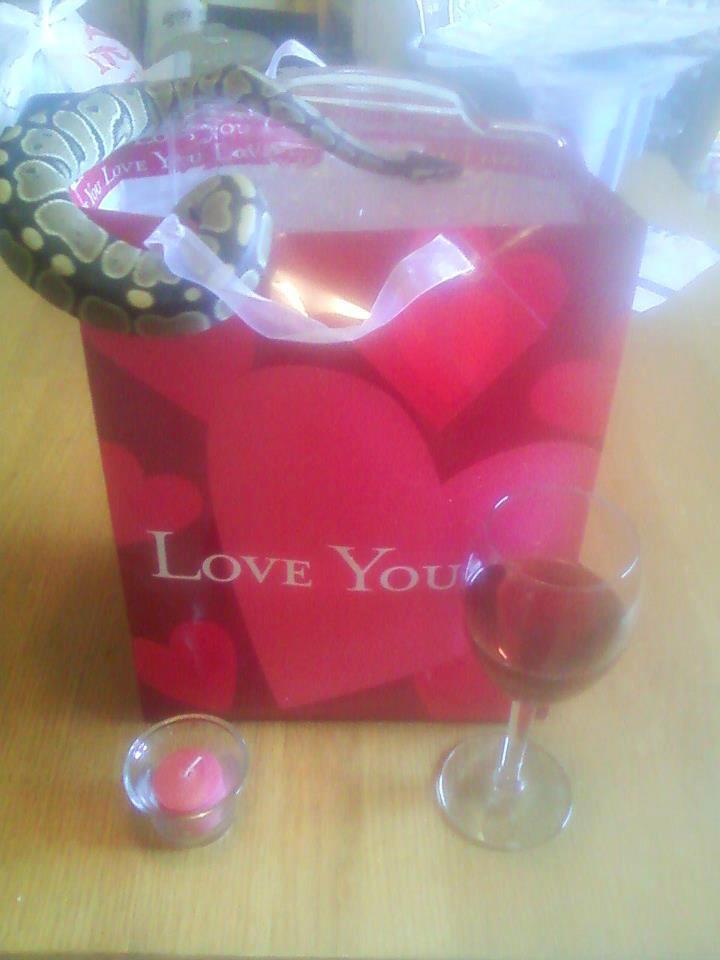 Valentines Day!