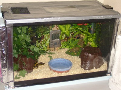 10g Bp Tank