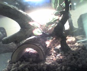 Tat & Tu's Home