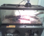 Tat & Tu's Home