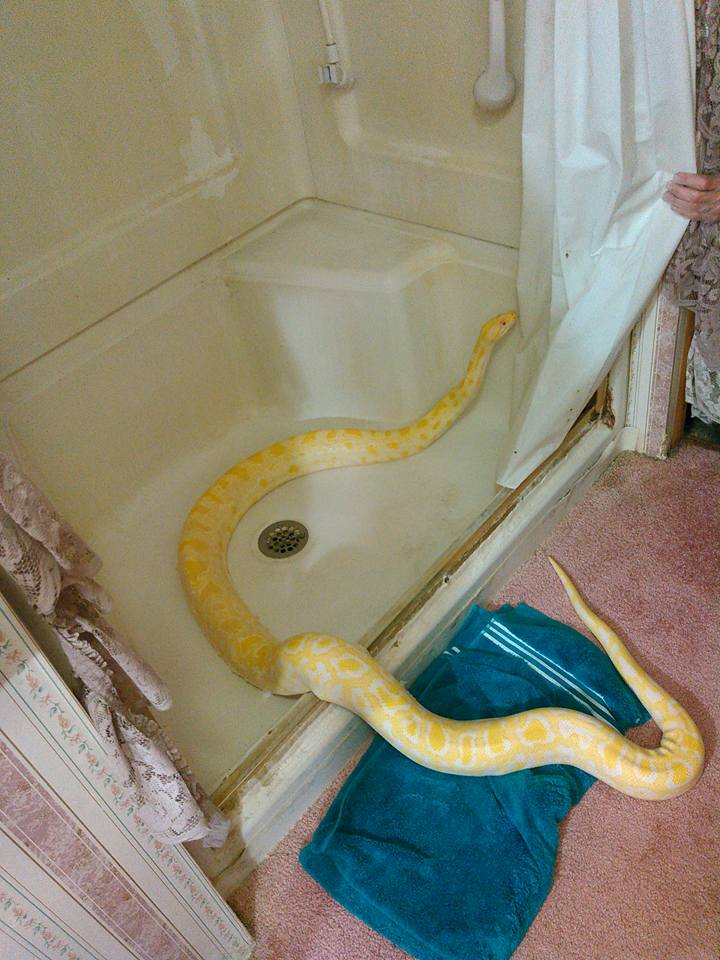 YOU WALKED IN ON MY SHOWER *GASP*