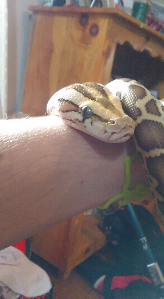 Baby hypo relaxing.