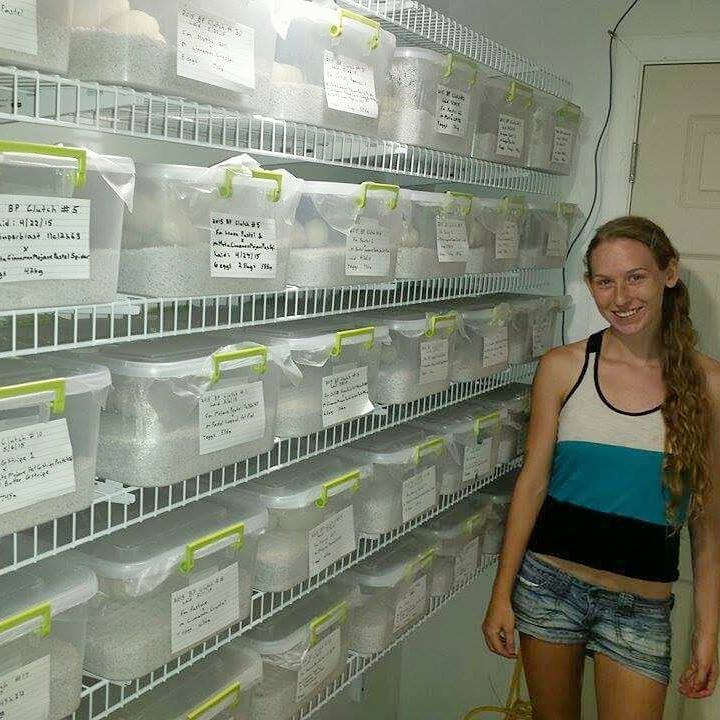A shot of part of our walk-in incubator