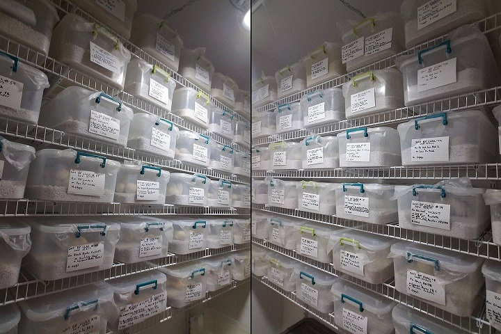 Both Walls of our Incubator Are Full!