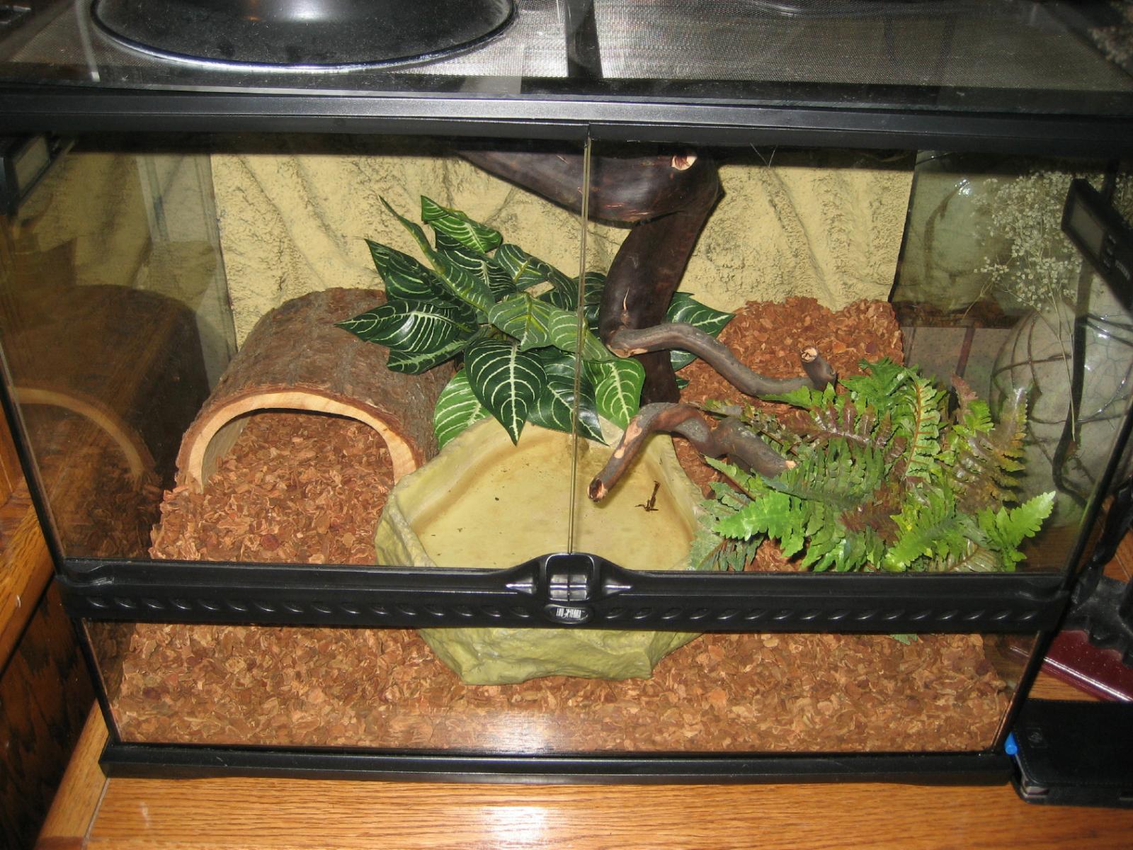 My snake!