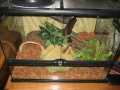My snake!