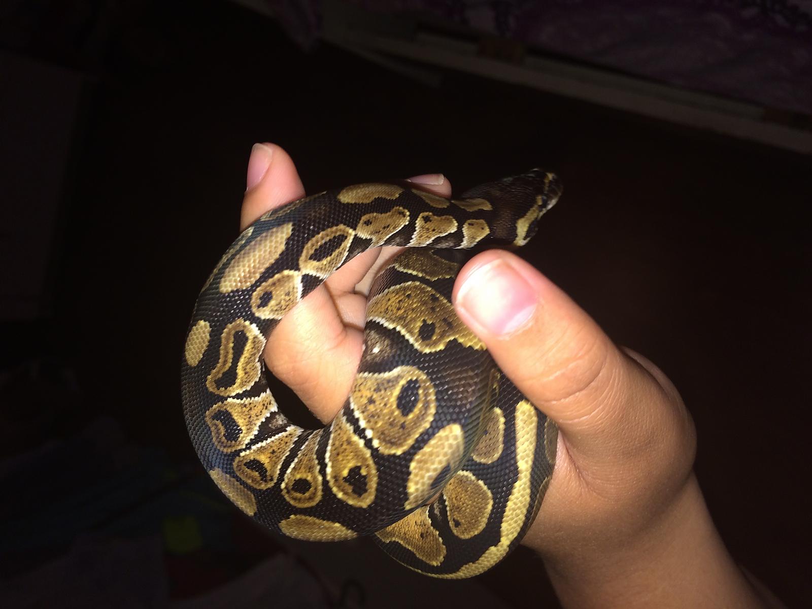 Post shed