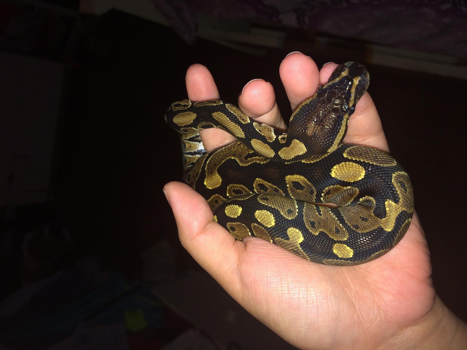 Post shed