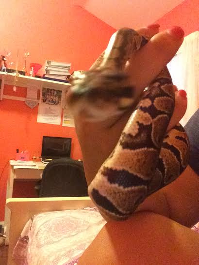 Leonidas