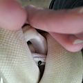 20150522 162946