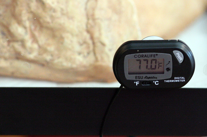Cool Side Temp
