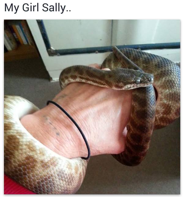 Stimson Python