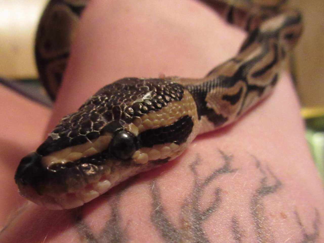 Noodles :)