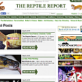 US Iguana, Inc. made Top Story on The Reptile Report