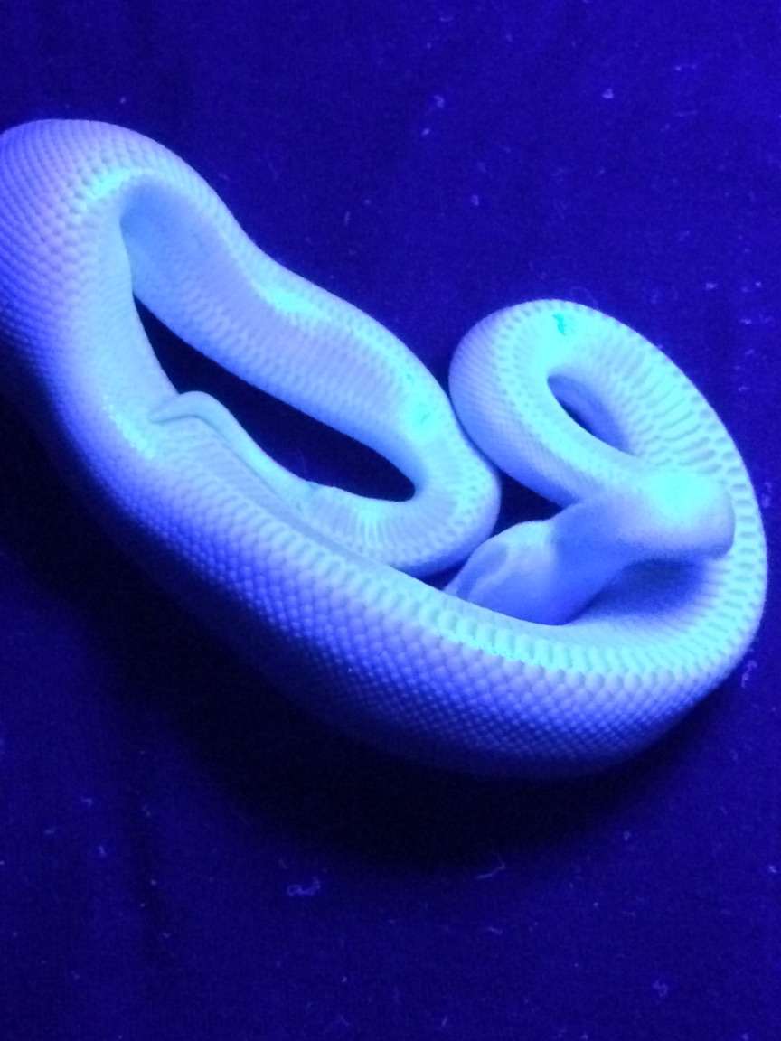 supermojave3