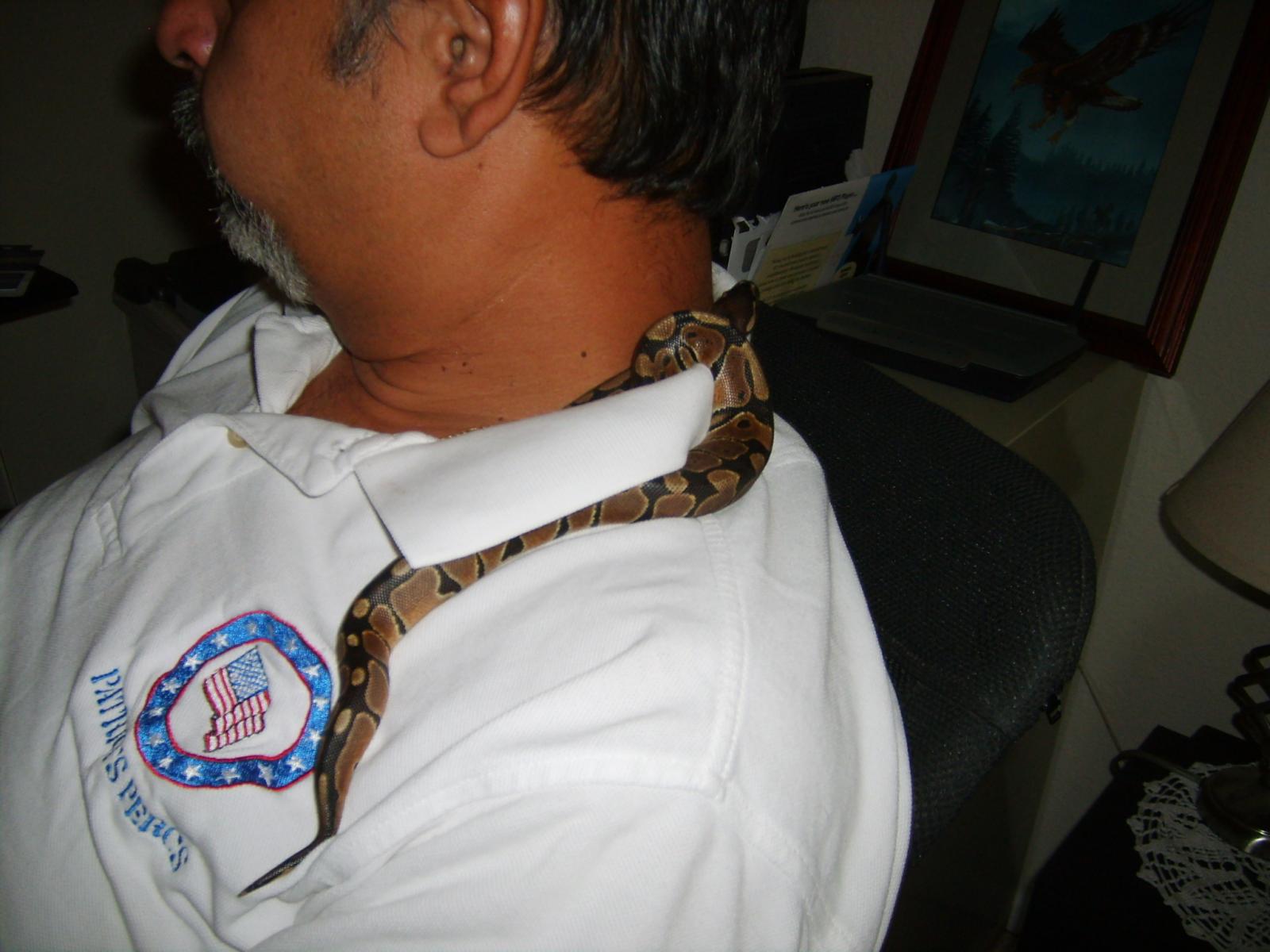 dad and sparticus