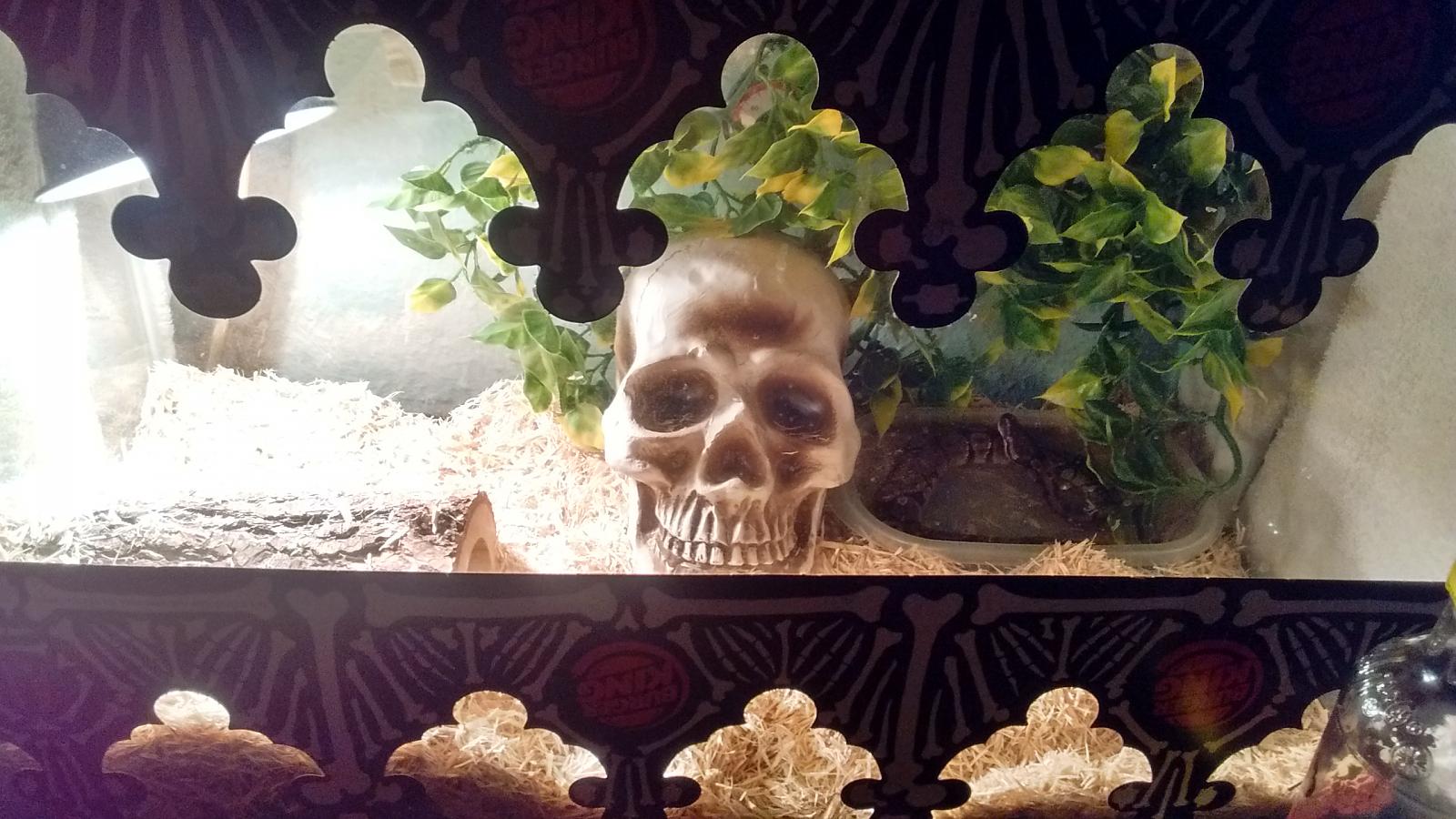 She's just chillin while she's grows