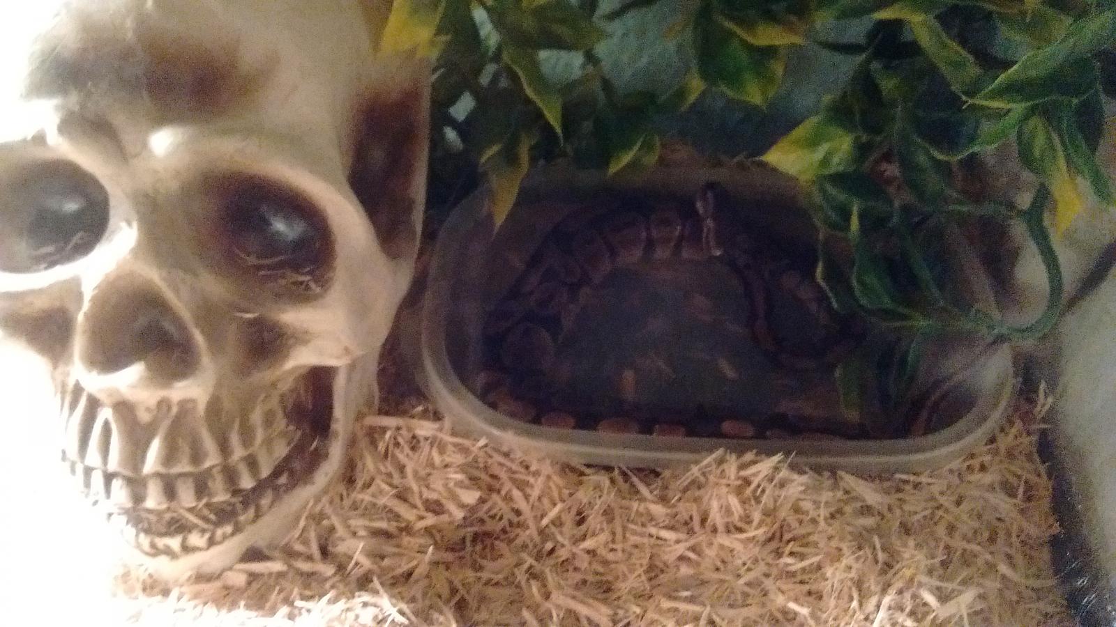 She's just chillin while she's grows