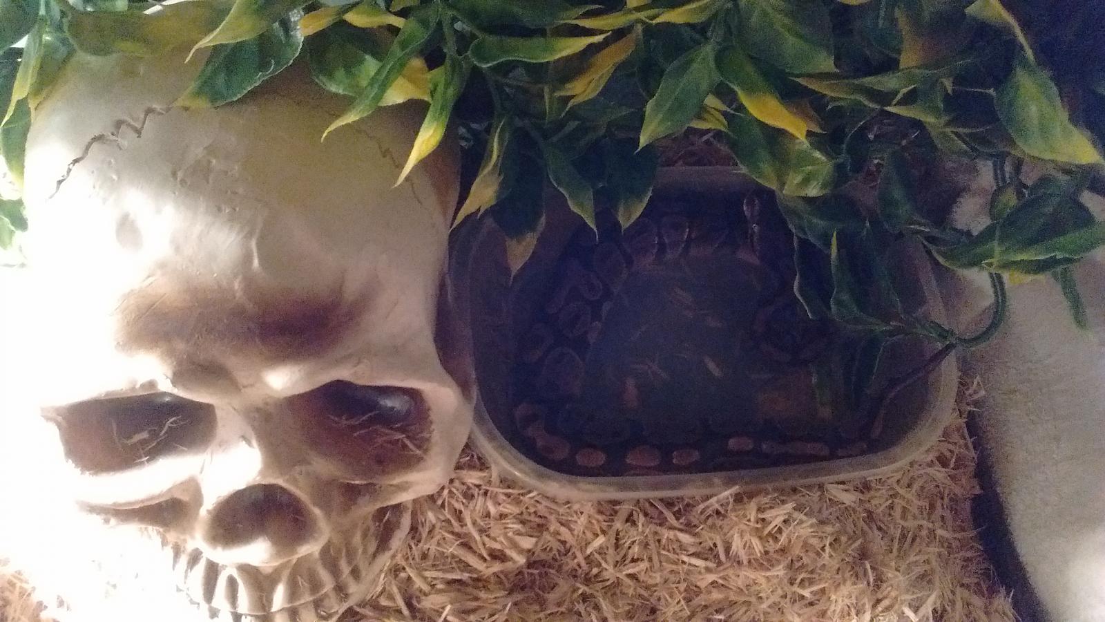 She's just chillin while she's grows