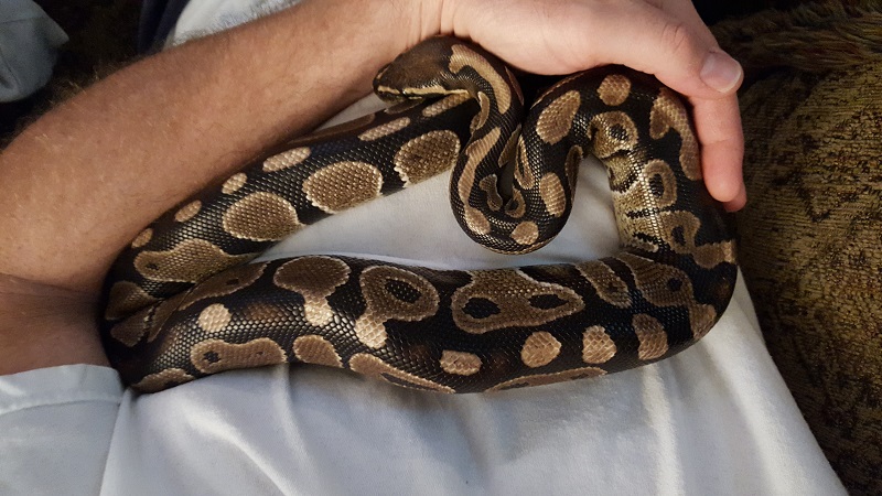 sally - 11.2015