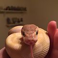 img 5819