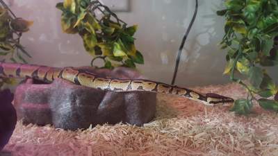My New Baby!