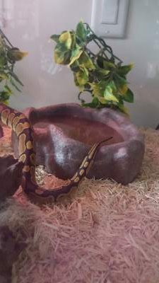 My New Baby!