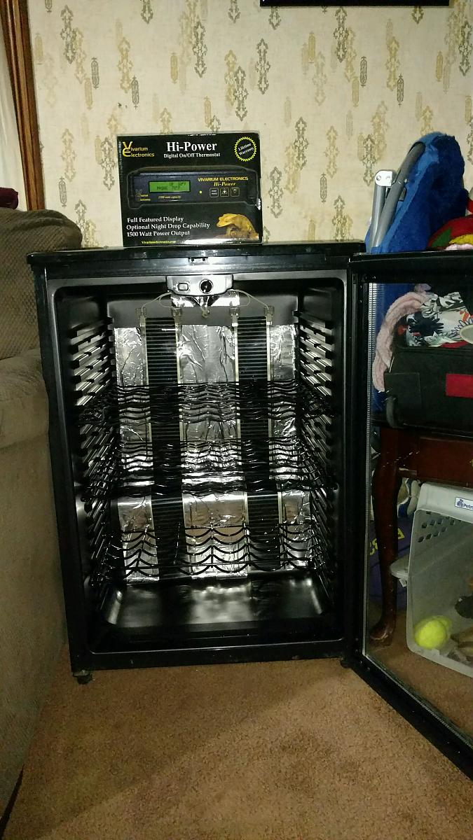 Wine cooler incubator