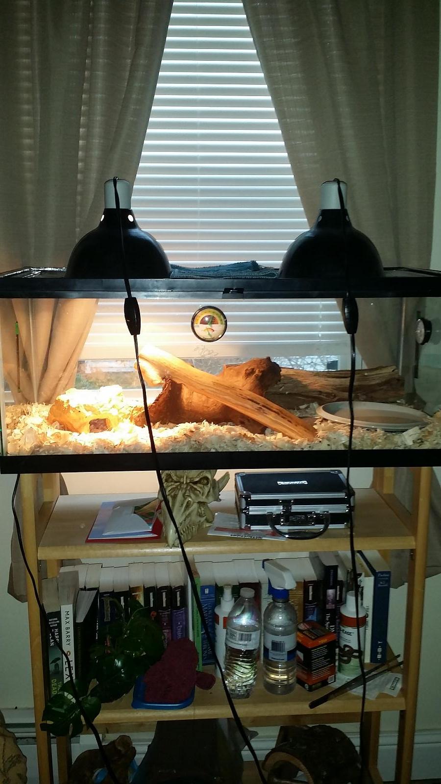 Pip's First Setup