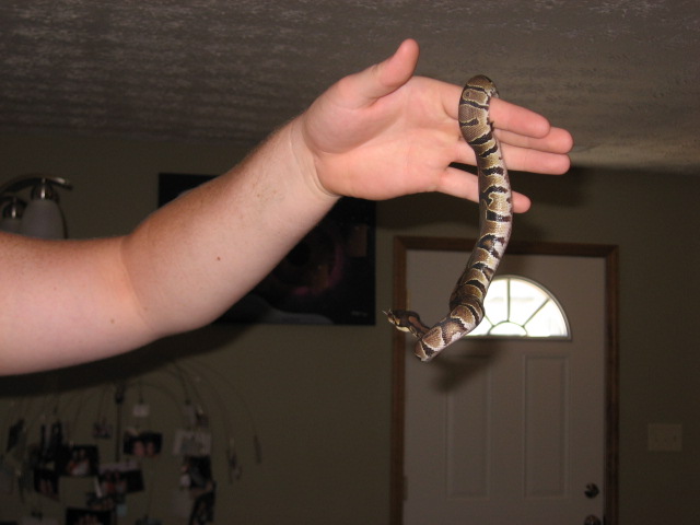 Just hanging around..