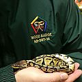 MrGrinchs' Adopted BP