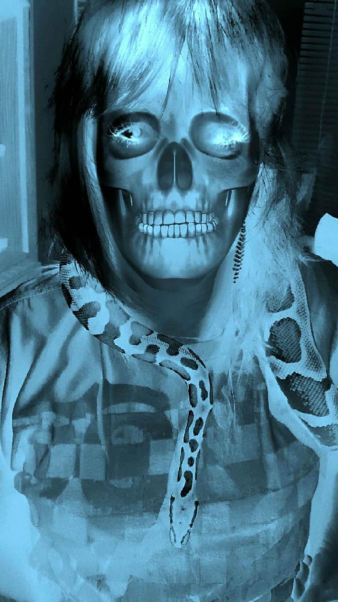 skulls n snakes