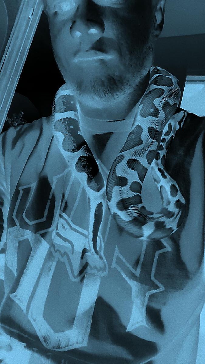 skulls n snakes