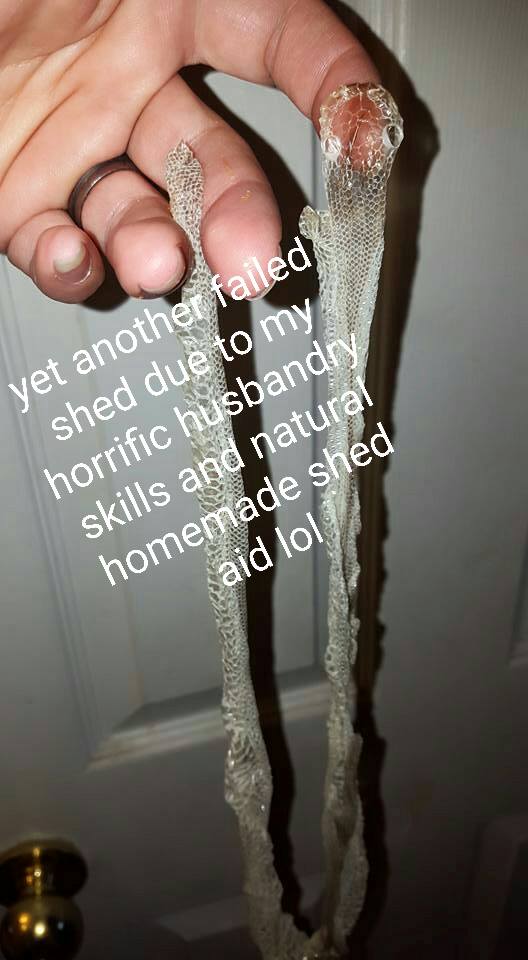 more  "bad" sheds