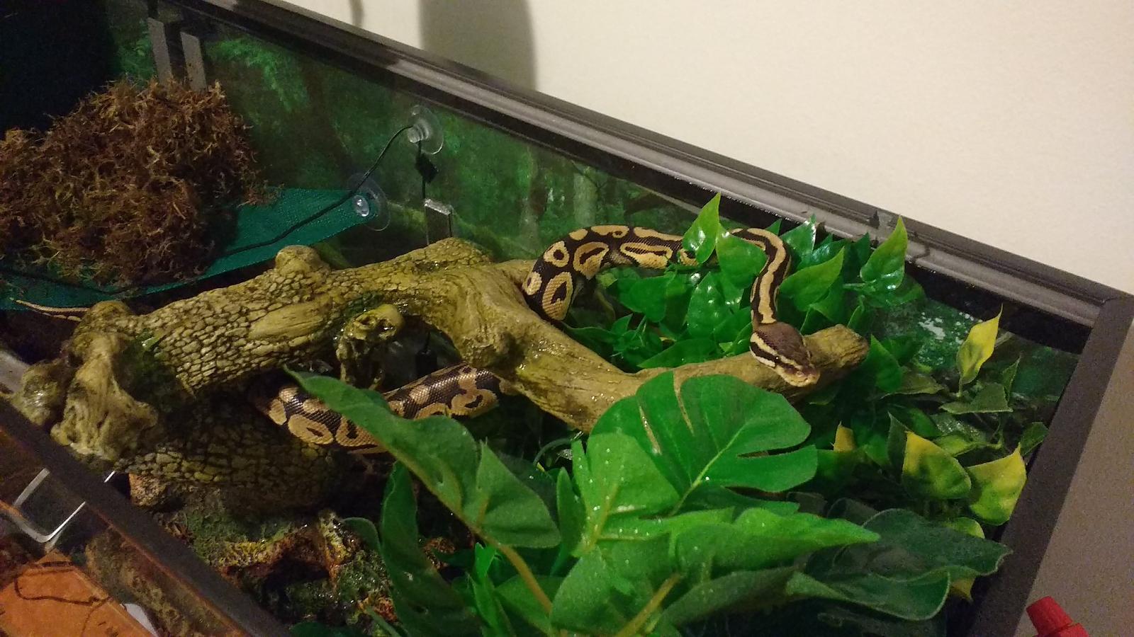 There's my gorgeous boy!