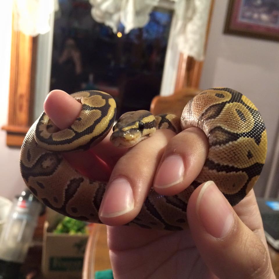 Lilith