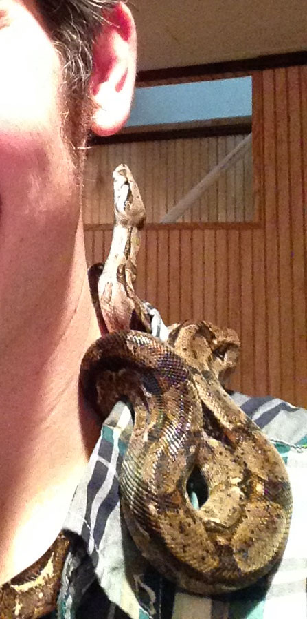 ear