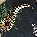 Enchi Pastel on Razor mat