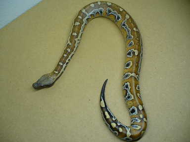 sumatran blood Alucard