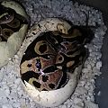 img 20160623 171632