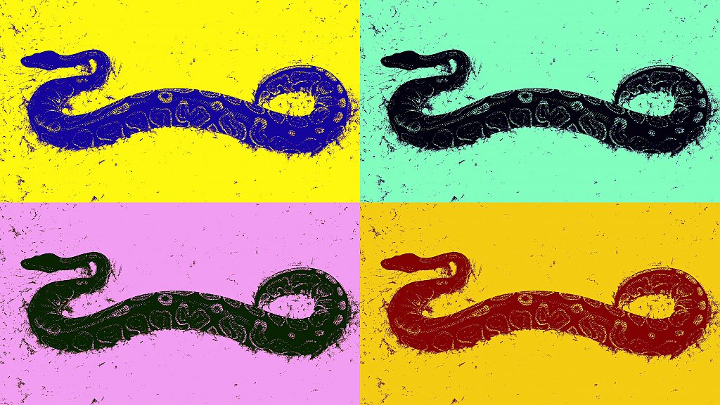 King Kosi (Warhol style)