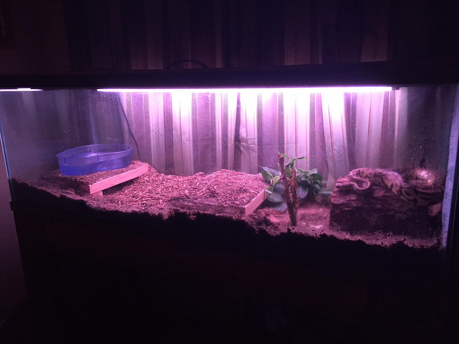 Bioactive Setup