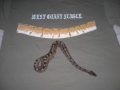 My Ball Python Anakiya