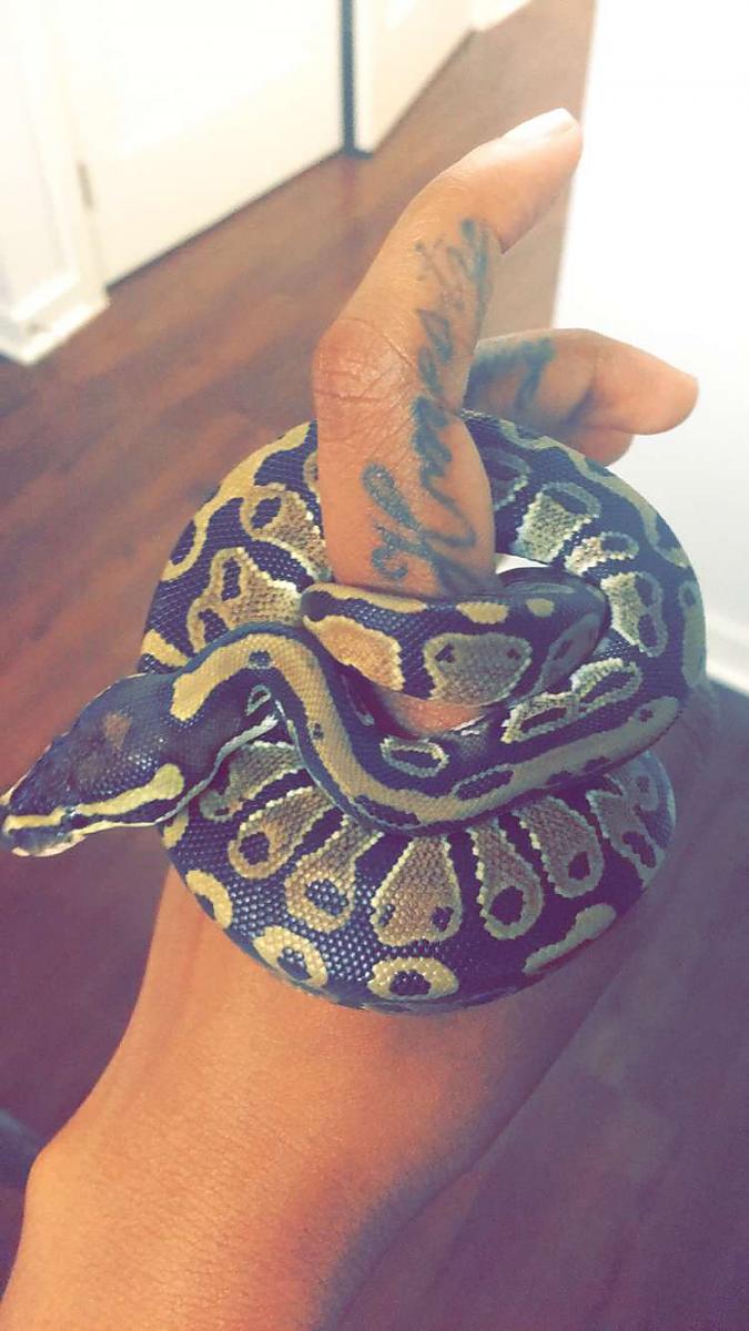 King☺️