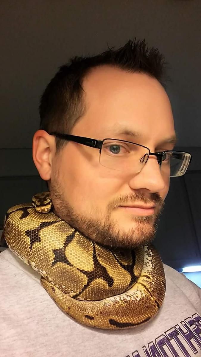 Yzma, the Spider Ball Python