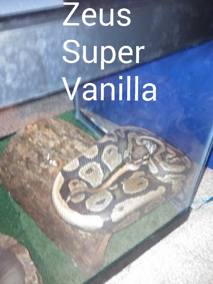 Super Vanilla