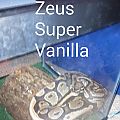 Super Vanilla