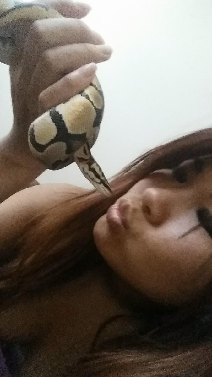 Noodle